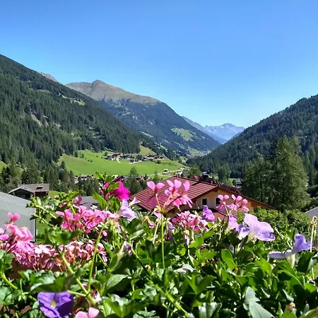 Apartment Haus Ganzer