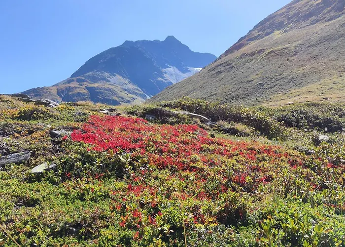 Apartment Haus Ganzer *