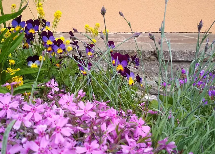 Haus Ganzer Apartment